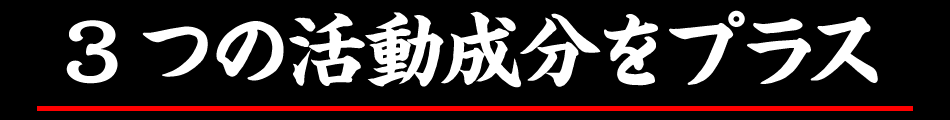 ３つの活動成分をプラス