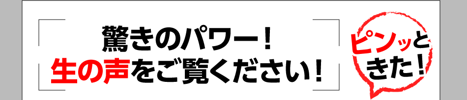 ピンッときた！驚きのパワー!生の声をご覧ください！