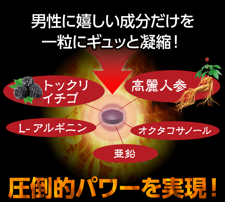 高麗人参　トックリイチゴ　オクタコサノール　L-アルギニン　亜鉛　圧倒的パワーを実現！