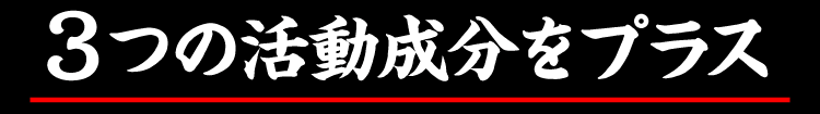 ３つの活動成分をプラス